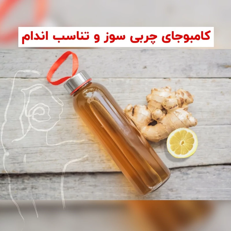 کامبوچا زنجبیل لیمو  1 لیتر